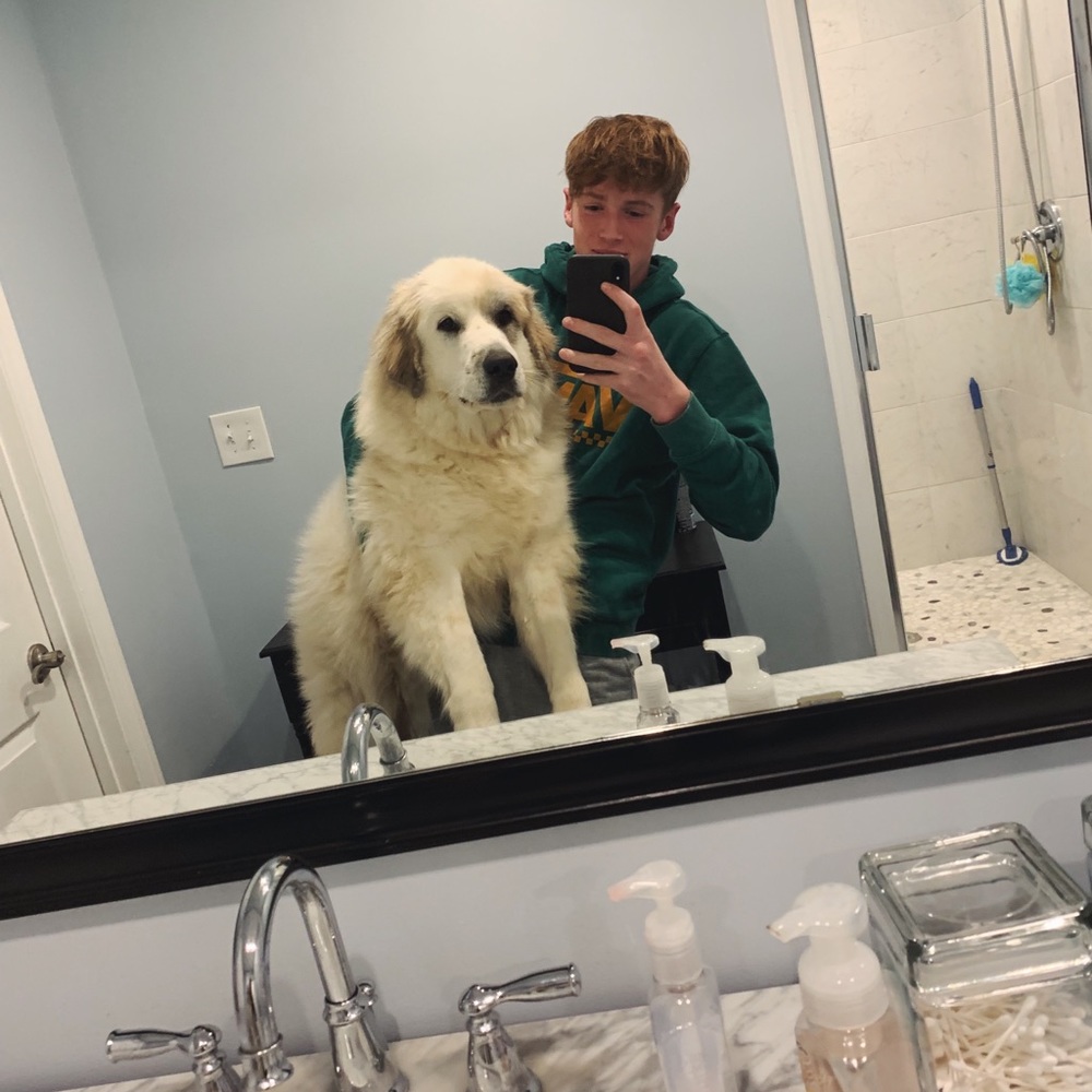 Meet your Posher, Jacob